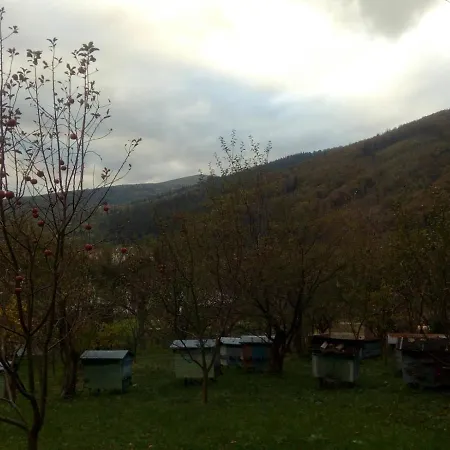 затишок Homestay szállás