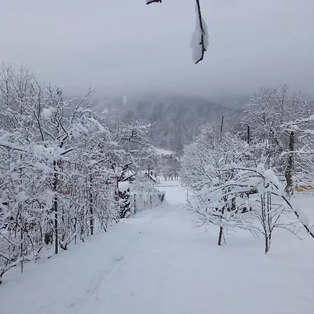 Homestay затишок *